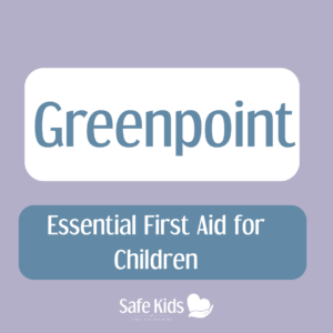 Saturday 28 November 2026 09h30 - 15h00 (Nannies and Aupairs Only)